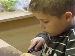 Egy délután az egészséges életmódról 