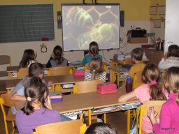 Egy délután az egészséges életmódról 