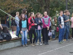 Gólyanap - gólyabál a kilencedikeseknél