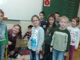 Rendhagyó környezetismeret óra az 1.b osztályban 