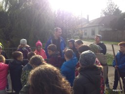 Amikor a lecke életre kel…