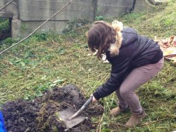 Amikor a lecke életre kel…