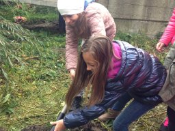 Amikor a lecke életre kel…