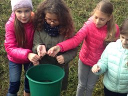 Amikor a lecke életre kel…