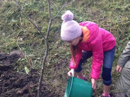 Amikor a lecke életre kel…