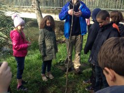 Amikor a lecke életre kel…