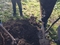 Amikor a lecke életre kel…