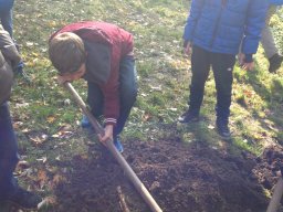 Amikor a lecke életre kel…