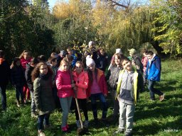 Amikor a lecke életre kel…