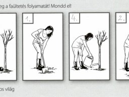 Amikor a lecke életre kel…