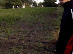 Mécses Egyesület Mezőberény