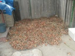 Mécses Egyesület Mezőberény