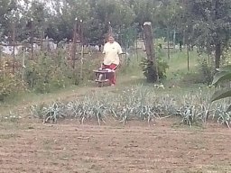 Mécses Egyesület Mezőberény