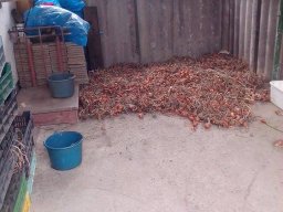 Mécses Egyesület Mezőberény