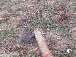 Mécses Egyesület Mezőberény