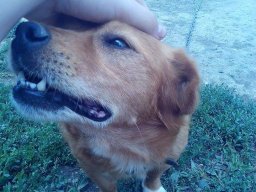 Mécses Egyesület Mezőberény