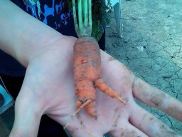 Mécses Egyesület Mezőberény