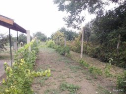 Mécses Egyesület Mezőberény