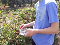 Mécses Egyesület Mezőberény