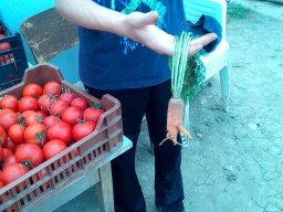 Mécses Egyesület Mezőberény