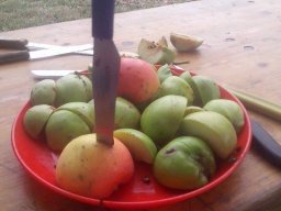 Mécses Egyesület Mezőberény