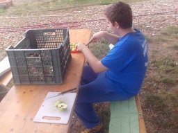 Mécses Egyesület Mezőberény