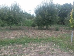 Mécses Egyesület Mezőberény