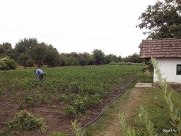 Mécses Egyesület Mezőberény