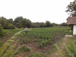 Mécses Egyesület Mezőberény