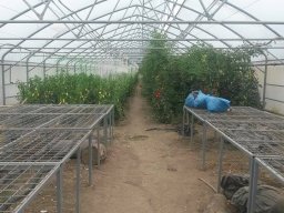 Mécses Egyesület Mezőberény