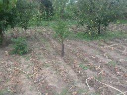 Mécses Egyesület Mezőberény