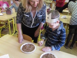 A mézeskalács házikótól a sakkpalotáig