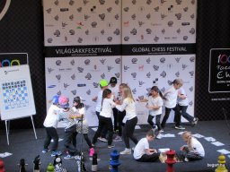 Sakkpalota vitézei bevették a Budai Várat 