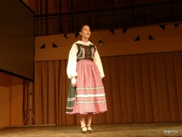 Segesvár - diákcsere képekben 