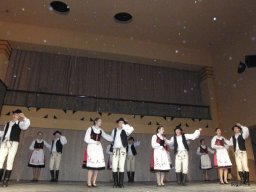 Segesvár - diákcsere képekben 