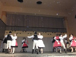 Segesvár - diákcsere képekben 