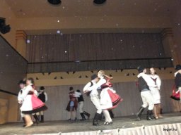 Segesvár - diákcsere képekben 