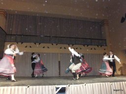 Segesvár - diákcsere képekben 