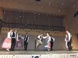 Segesvár - diákcsere képekben 