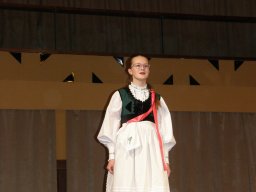 Segesvár - diákcsere képekben 