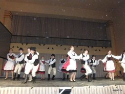 Segesvár - diákcsere képekben 