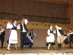 Segesvár - diákcsere képekben 