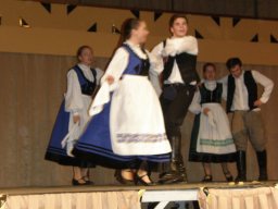 Segesvár - diákcsere képekben 