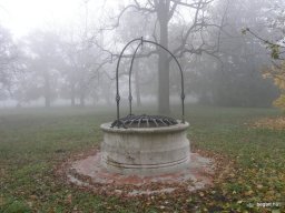 Segesvár - diákcsere képekben 