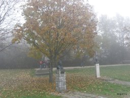 Segesvár - diákcsere képekben 