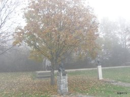 Segesvár - diákcsere képekben 