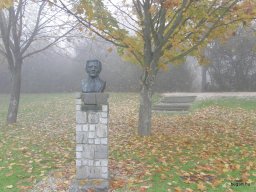 Segesvár - diákcsere képekben 