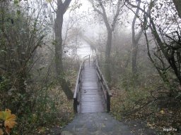 Segesvár - diákcsere képekben 