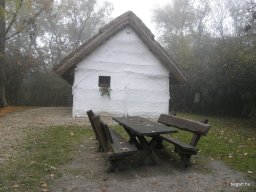 Segesvár - diákcsere képekben 