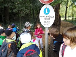 Erdei kiránduláson a 2.b osztály